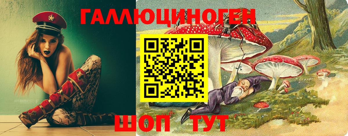 Лыткарино  Галлюциногенные грибы Psilocybine cubensis  Галлюциногенные грибы Psilocybine cubensis  Вход с VPN 